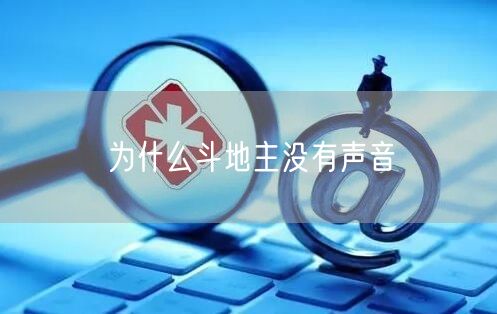 为什么斗地主没有声音